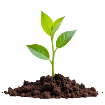 Green Connect Africa Image
