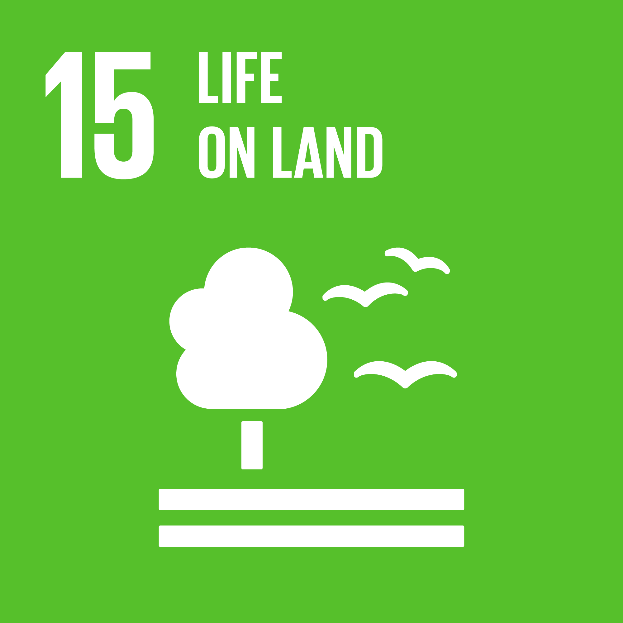 Sustainable development goals logo