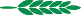 Foundation Image